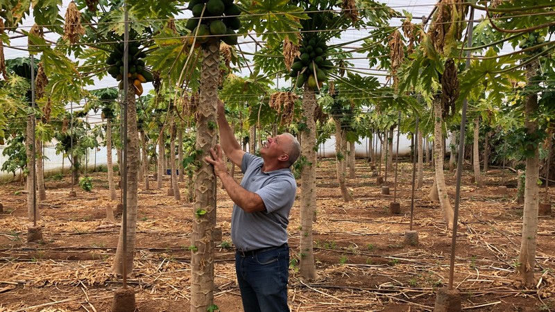 Udflugt 4: Ud p landet (inkl. frokost)